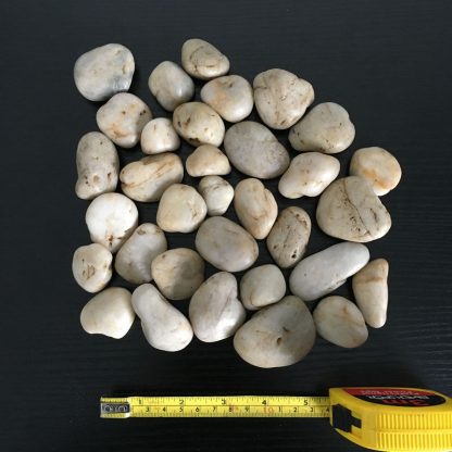 Beige Natural Stones Decorative Pebbles