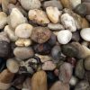 Assorted Browns Natural Stones Decorative Pebbles Rocks