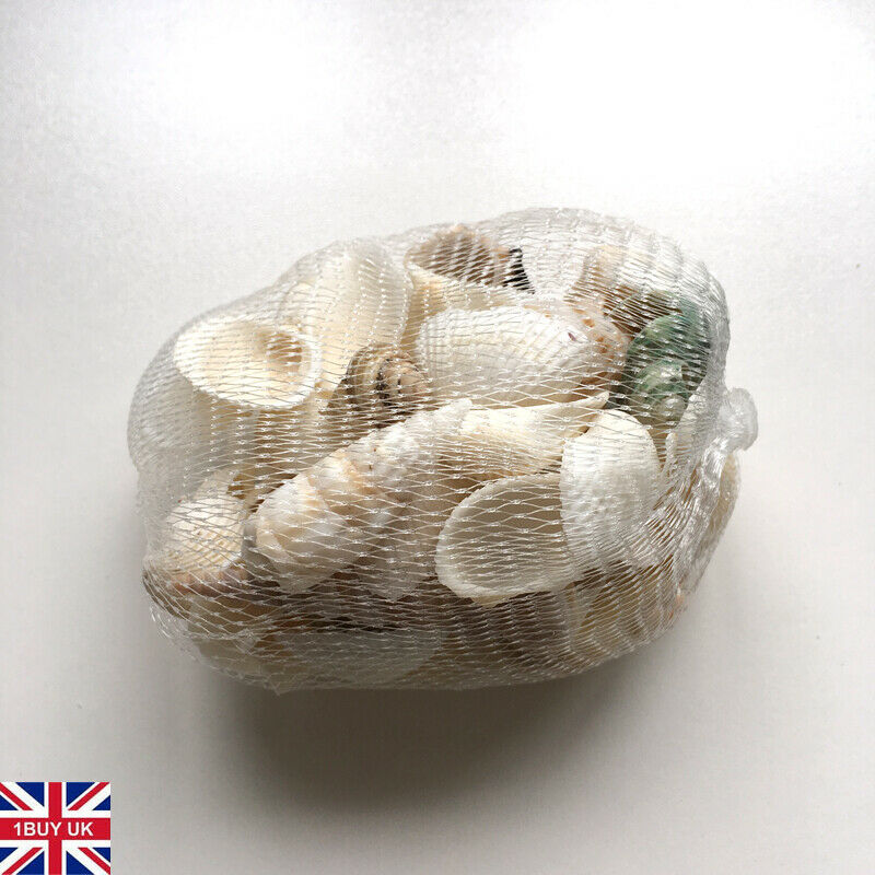 Large Seashell Assorted Ocean Bulk Mix (approx. 1 Kilogram or 2.2 lbs. 1-4  inches) Bulk Shell Mix for display, arts, crafts & collecting!