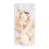 Assorted Sea Shells Natural Beach / Seashells Mixed Craft Decoration Aquarium
