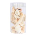 Assorted Sea Shells Natural Beach / Seashells Mixed Craft Decoration Aquarium