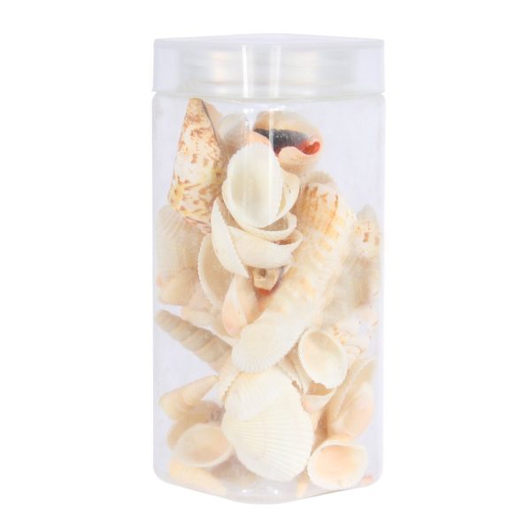 Assorted Sea Shells Natural Beach / Seashells Mixed Craft Decoration Aquarium